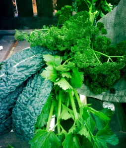 Kale, Celery & Parsley